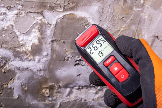 Mold Removal and Inspection in Pagedale, MO
